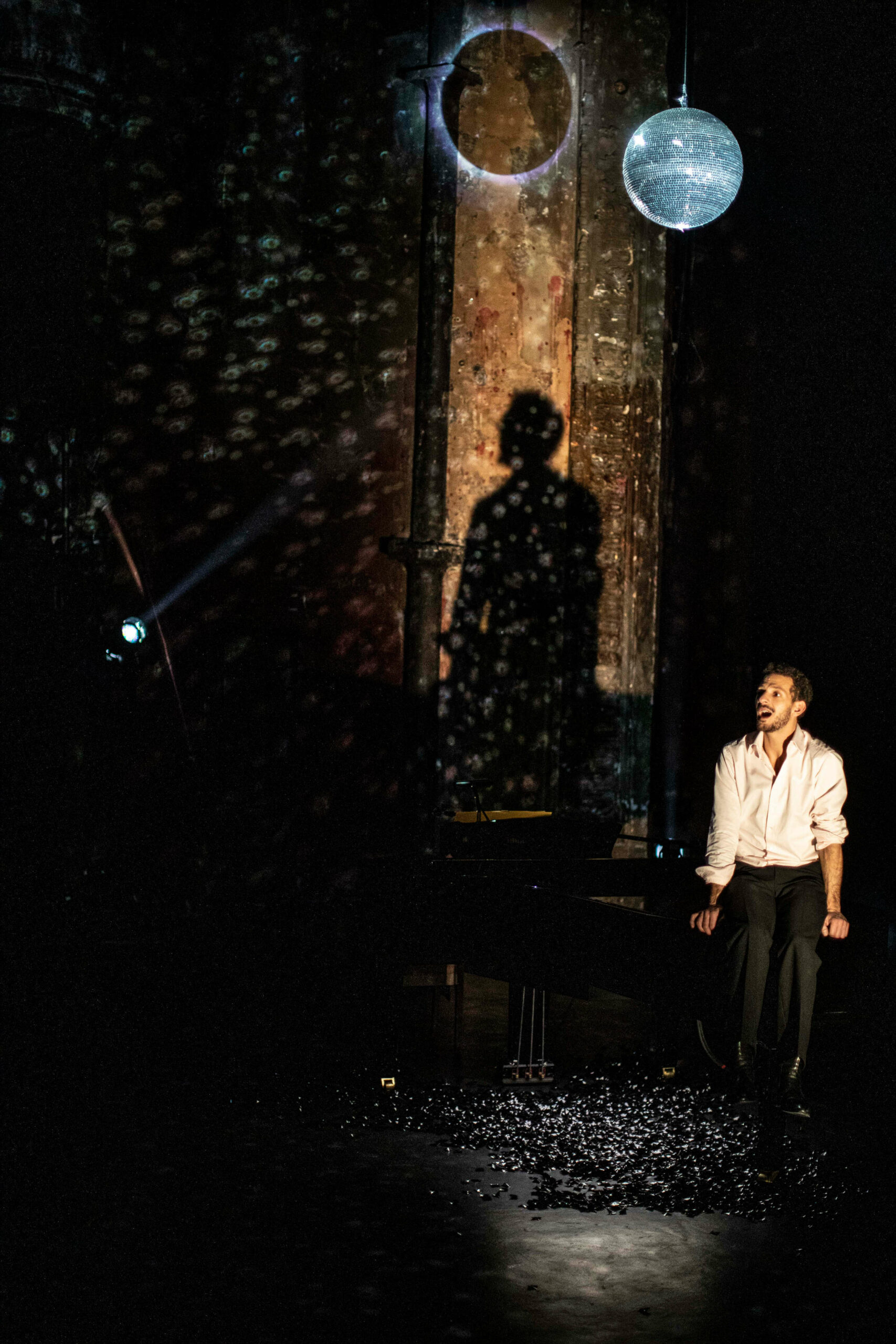 Un Soir De Gala - Vincent Dedienne © Jean Louis Fernandez